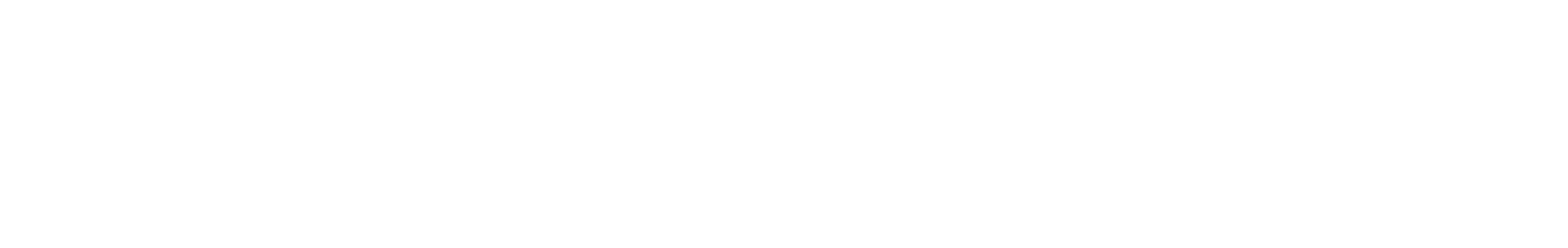System & Individual Style logo